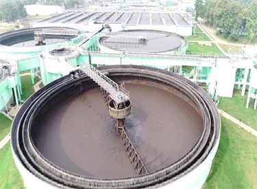 Sewage Treatment Plant (STP)